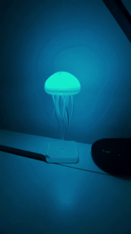 The Levi Jelly